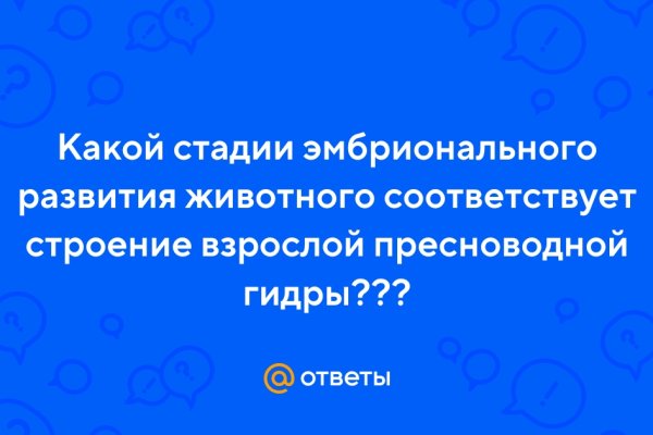 Пользователь не найден при входе на кракен