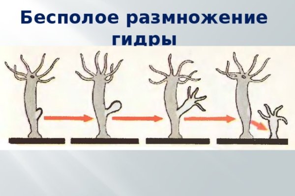 Кракен даркнет маркет