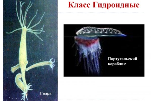 Зарегистрироваться на сайте кракен