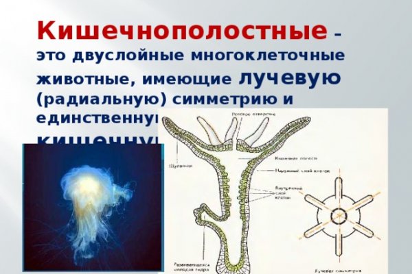 Кракен маркетплейс 2025